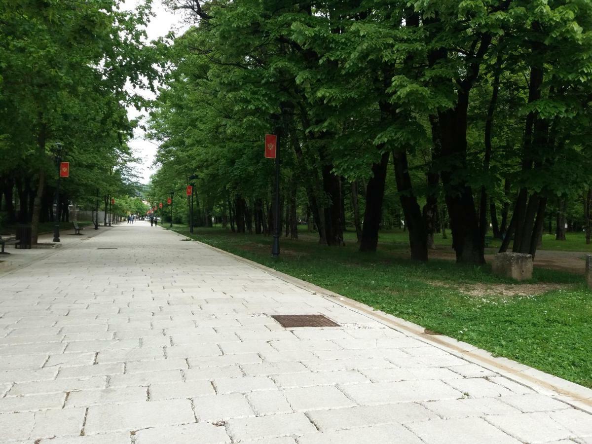 Apartments Mirkovic Cetinje Extérieur photo