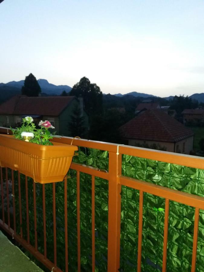 Apartments Mirkovic Cetinje Extérieur photo