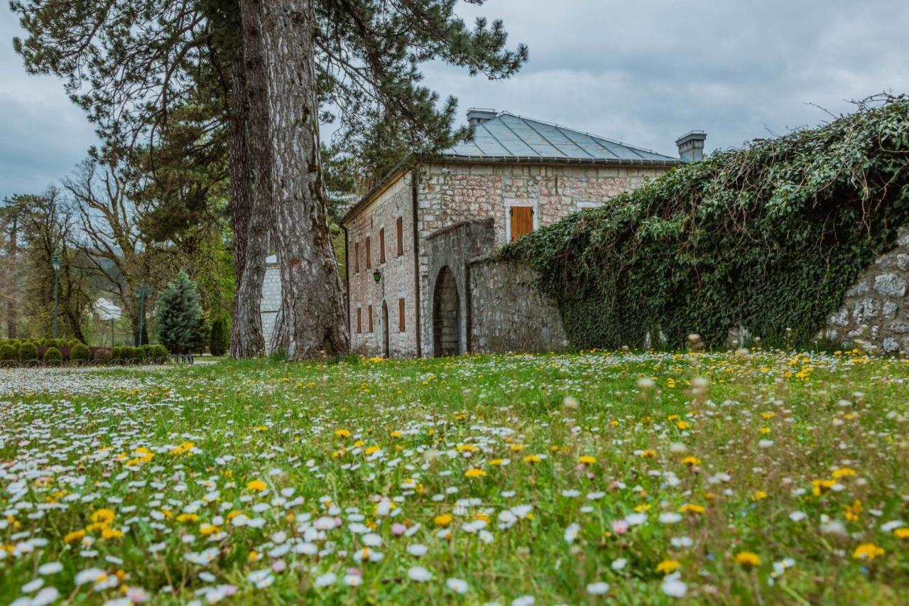 Apartments Mirkovic Cetinje Extérieur photo